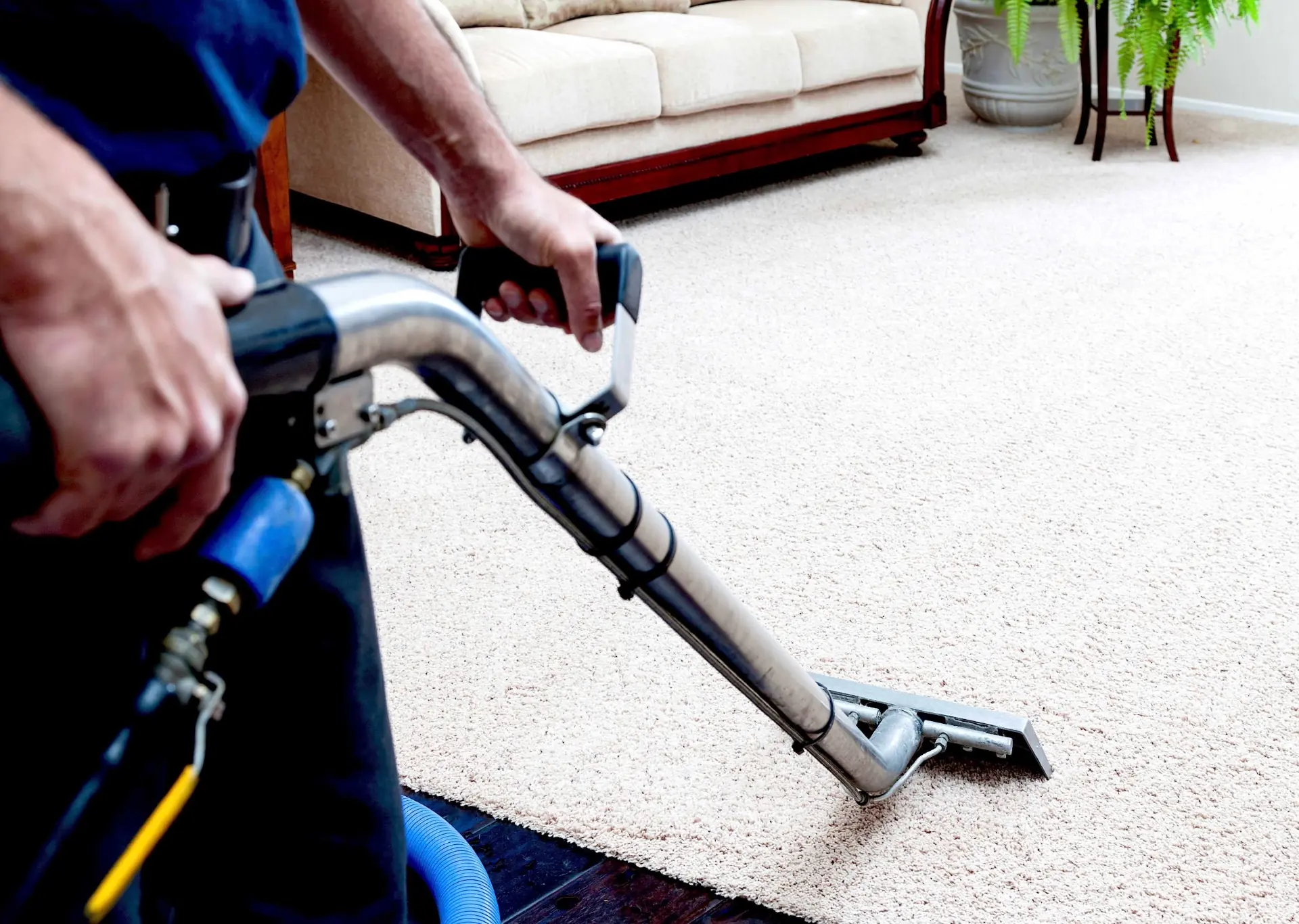After carpet cleaning: fresh, clean carpet